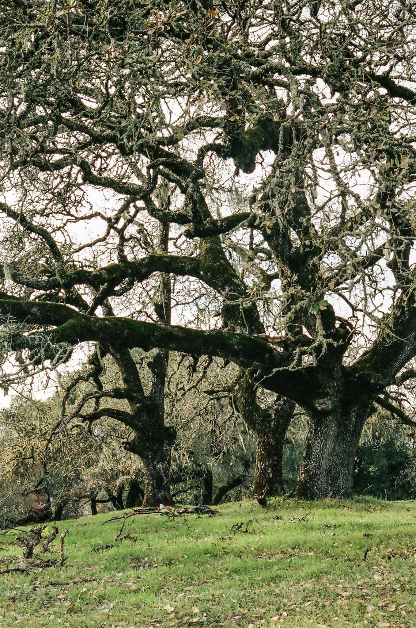 Locations — photograph by Nolan Wolfe